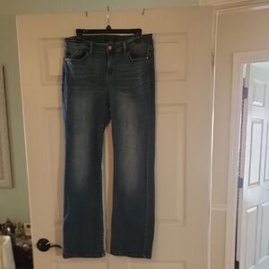 Judy Blue Straight Leg Blue Jeans with Classic Style